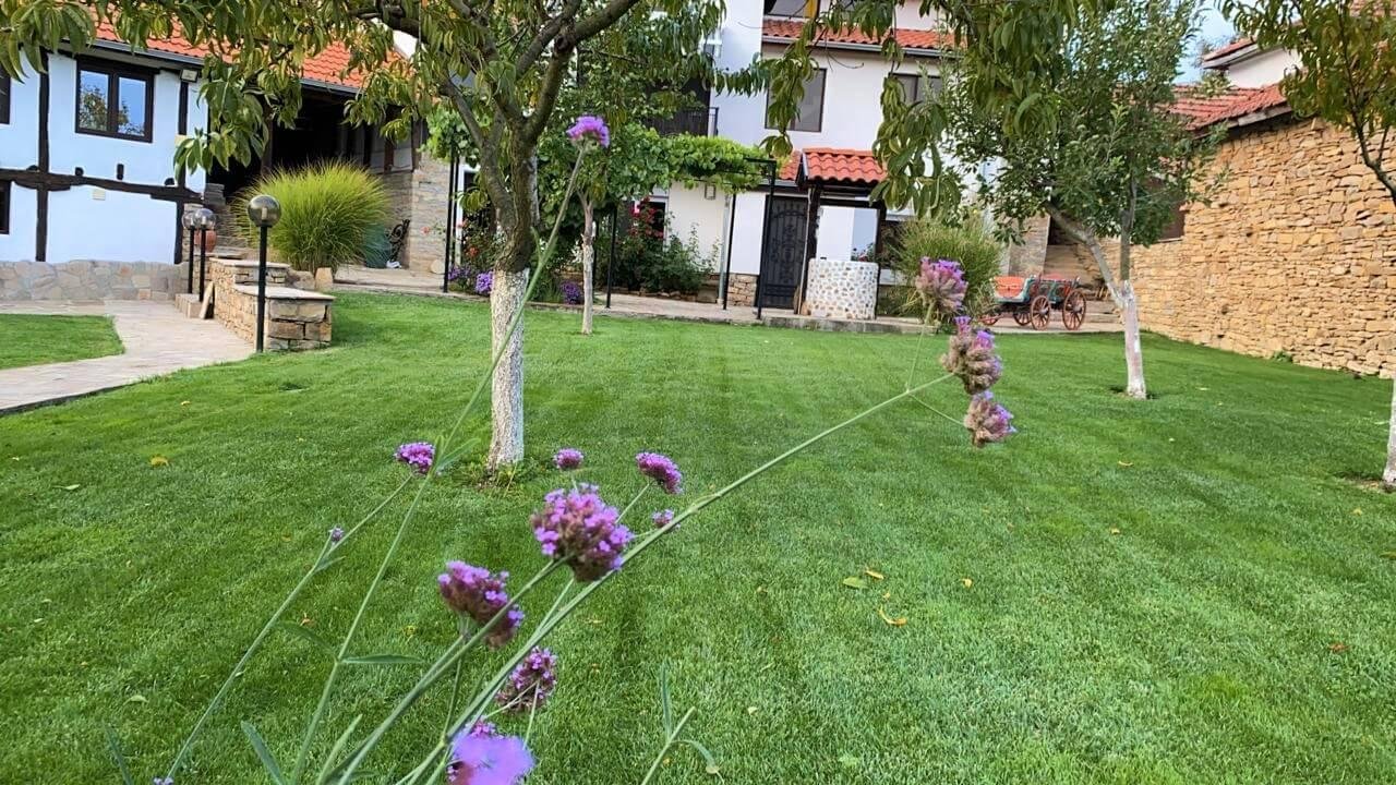 Снимки Галерия